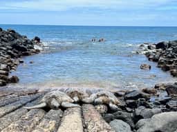 PS 126-Oceanfront,walk to Hyatt,Shipwrecks - Image 5
